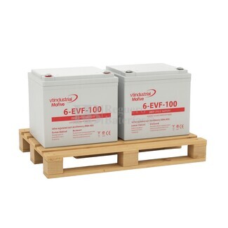 Pack 2 Bateras VT MOTIVE 6-EVF100 | para transpaleta 12V 100 Amperios